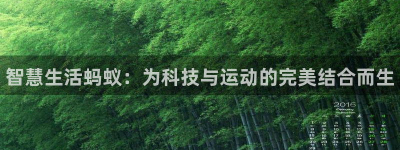 球宴体育APP下载：智慧生活蚂蚁：为科技与运动的完美结合而生