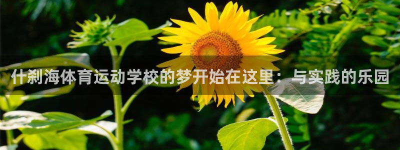 球宴体育网页：什刹海体育运动学校的梦开始在这里：与实践的乐园