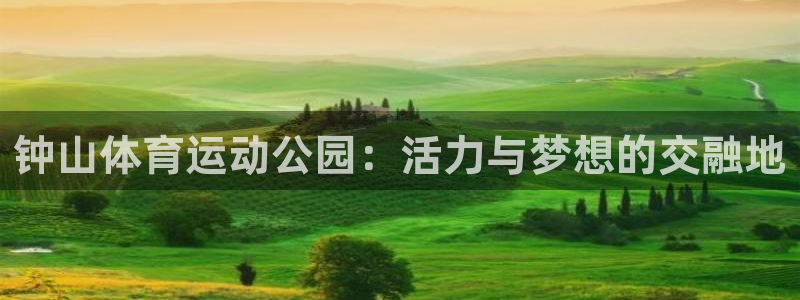 球宴体育app下载：钟山体育运动公园：活力与梦想的交融地