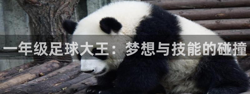 球宴体育APP下载：一年级足球大王：梦想与技能的碰撞