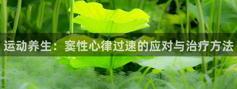 球宴体育官方：运动养生：窦性心律过速的应对与治疗方法