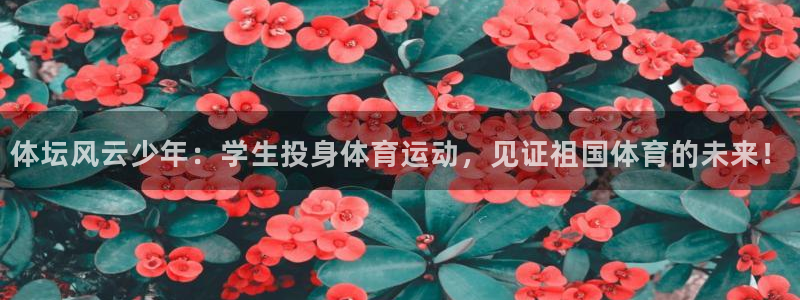 球宴体育iOS最新版本更新内容：体坛风云少年：学生投身体育运动，见证祖国体育的未来！