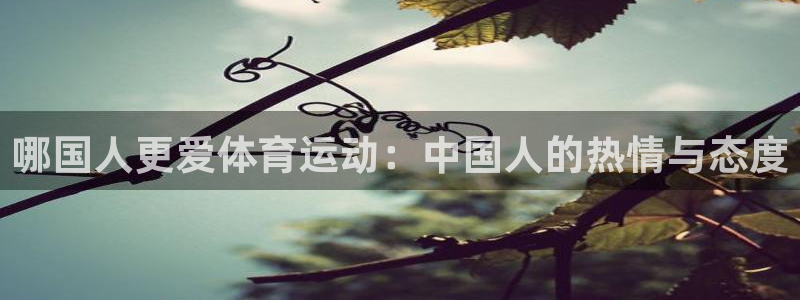 球宴体育app官方下载：哪国人更爱体育运动：中国人的热情与态度