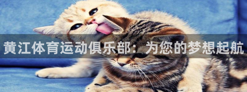 球宴体育app官方下载安卓：黄江体育运动俱乐部：为您的梦想起航