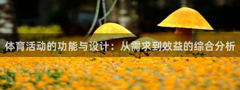 球宴体育下载app：体育活动的功能与设计：从需求到效益的综合分析