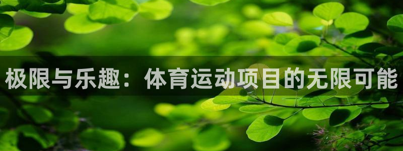 球宴体育官方：极限与乐趣：体育运动项目的无限可能