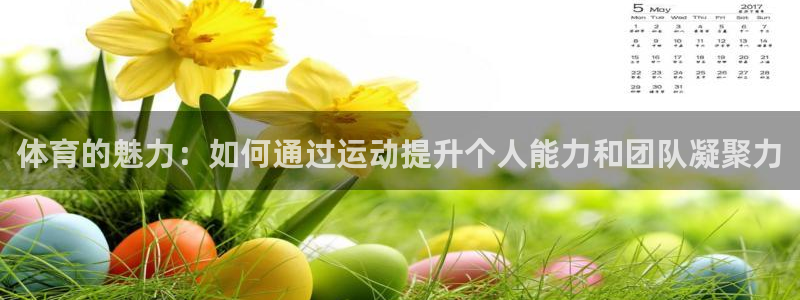 球宴体育免费下载安装：体育的魅力：如何通过运动提升个人能力和团队凝聚力